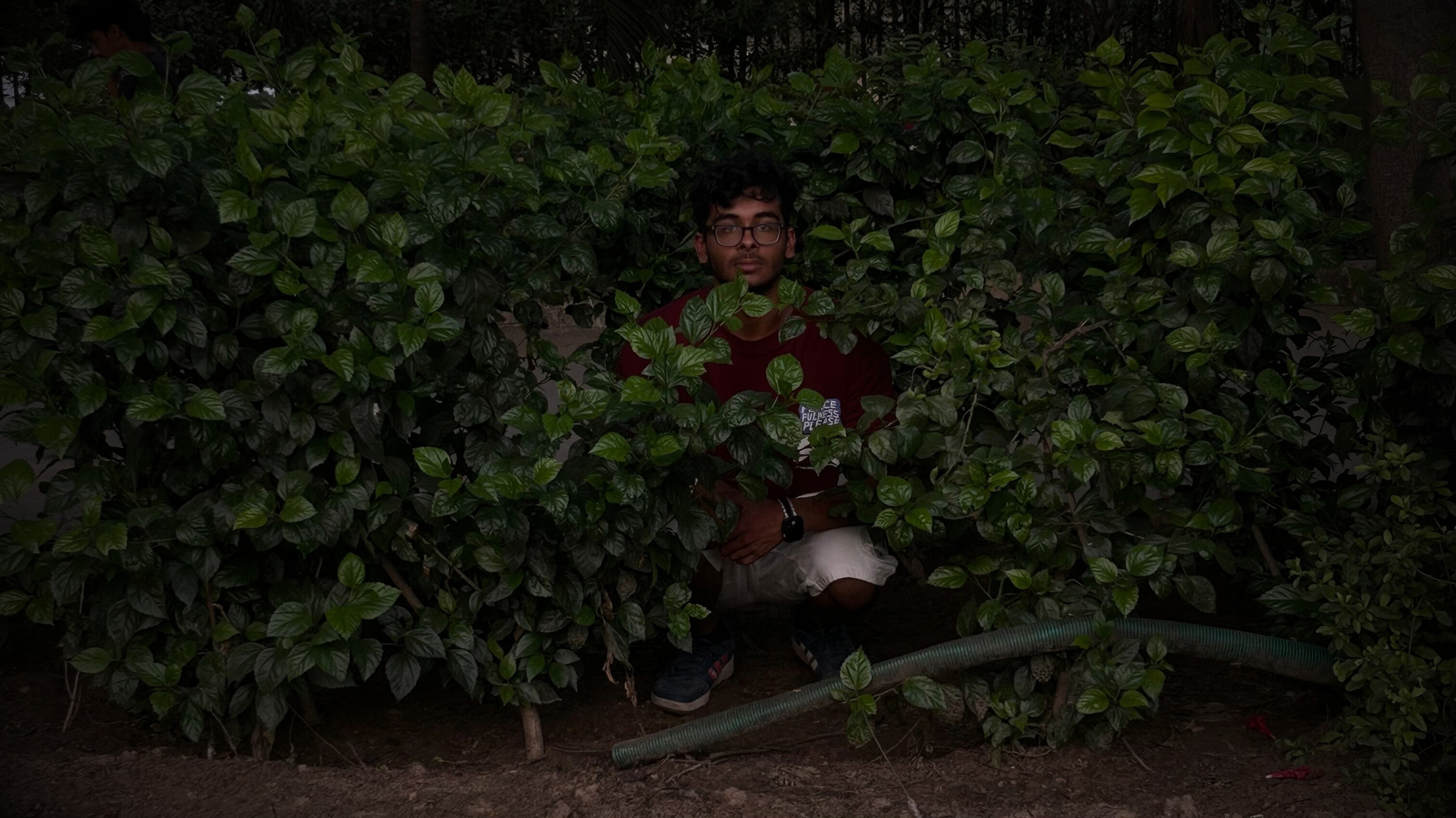 Creative Portfolio Background